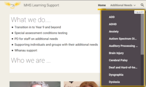 Read more about the article Learning Support Website